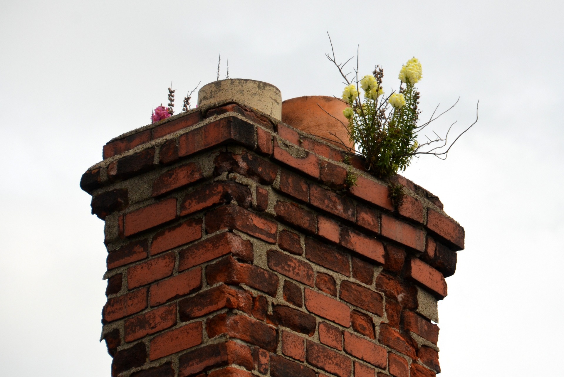 Chimney with plants growing